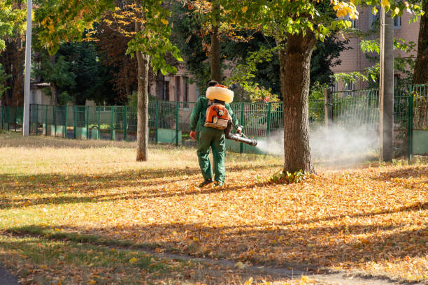 Best Best Pest Control Companies  in Babbitt, MN