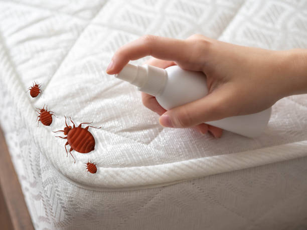 Best Pest Removal Services  in Babbitt, MN